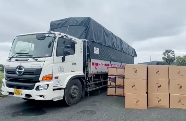 Xe Tải Chở Hàng Là Gì? Phân Loại và Tải Trọng Hiện Nay